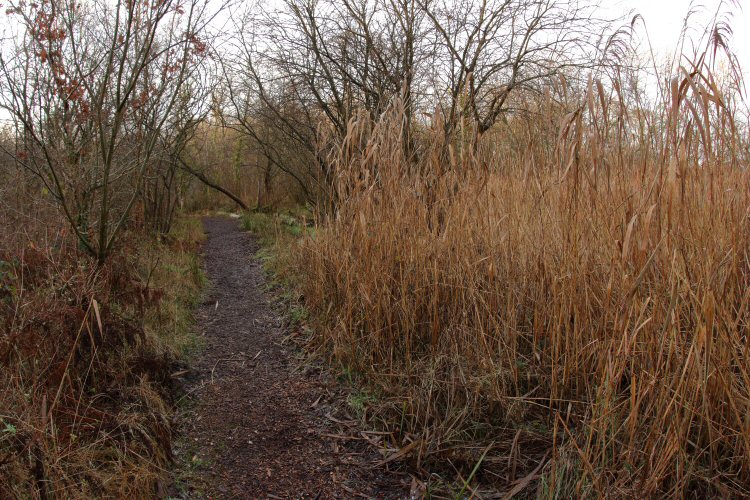 habitat
