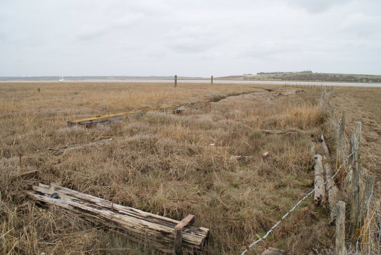 habitat
