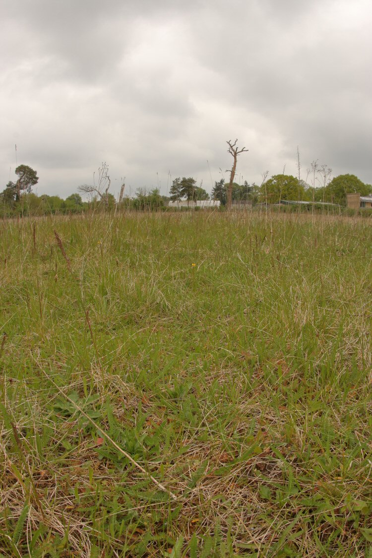 habitat