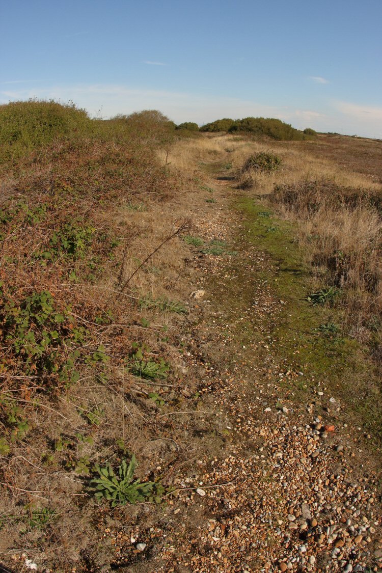 habitat