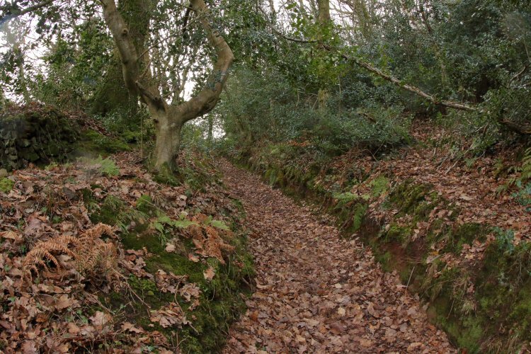 habitat