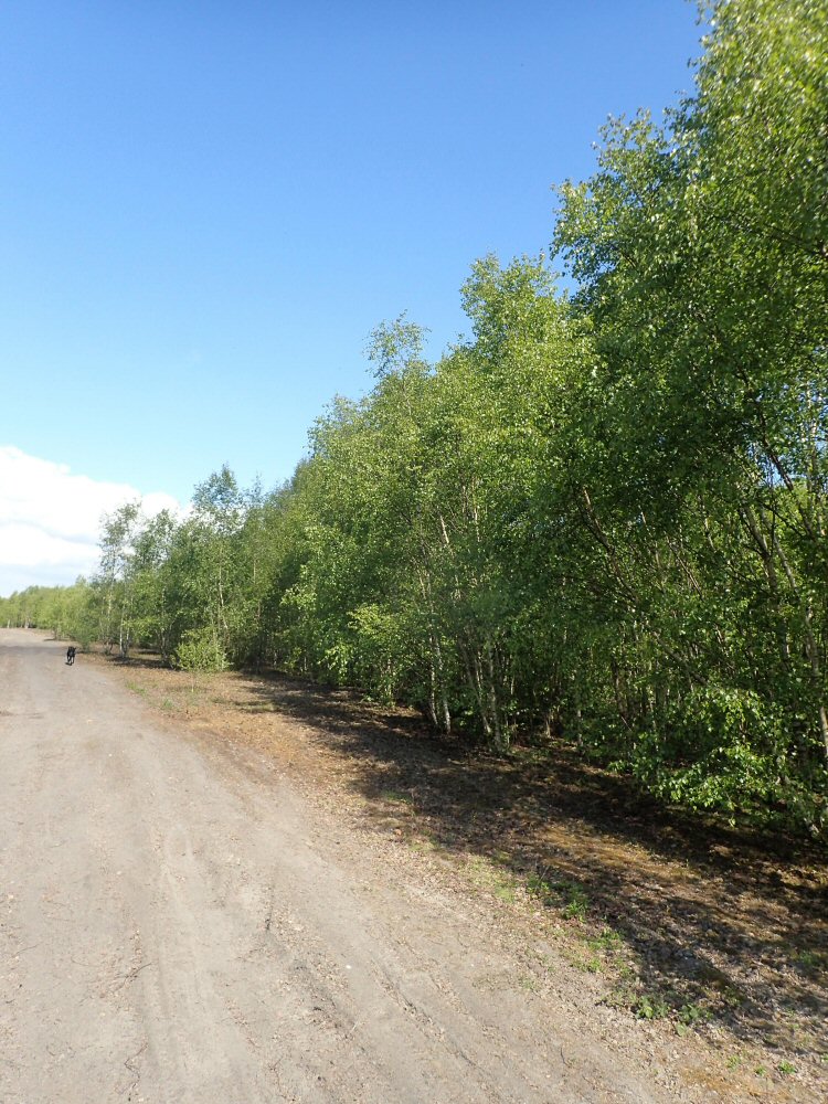 habitat