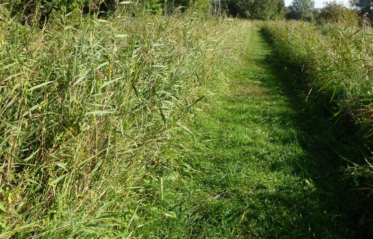habitat