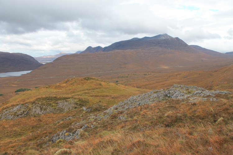 habitat